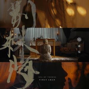 无人区日逼姿势
