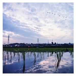 无人区日逼姿势
