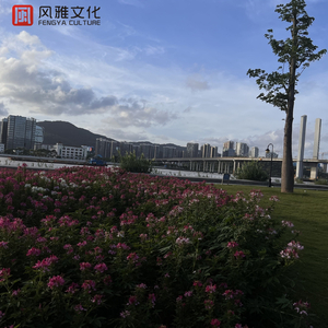 无人区日逼姿势
